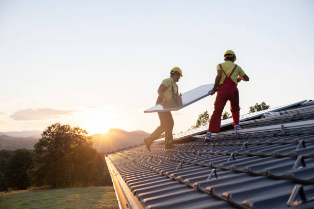 Best Roof Ventilation Installation  in Cary, IL
