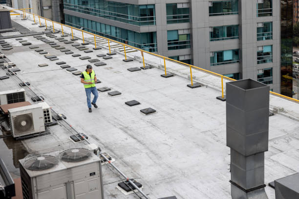 Best Roof Leak Repair  in Cary, IL