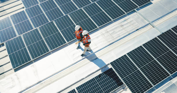 Best Storm Damage Roof Repair  in Cary, IL