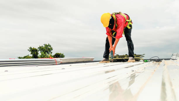 Best Commercial Roofing Services  in Cary, IL
