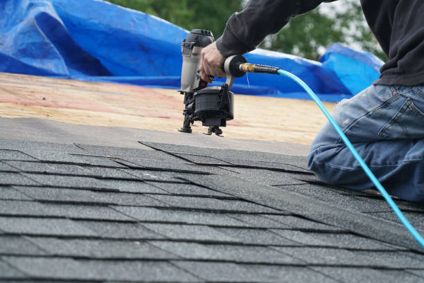 Professional Roofing Service in Cary, IL